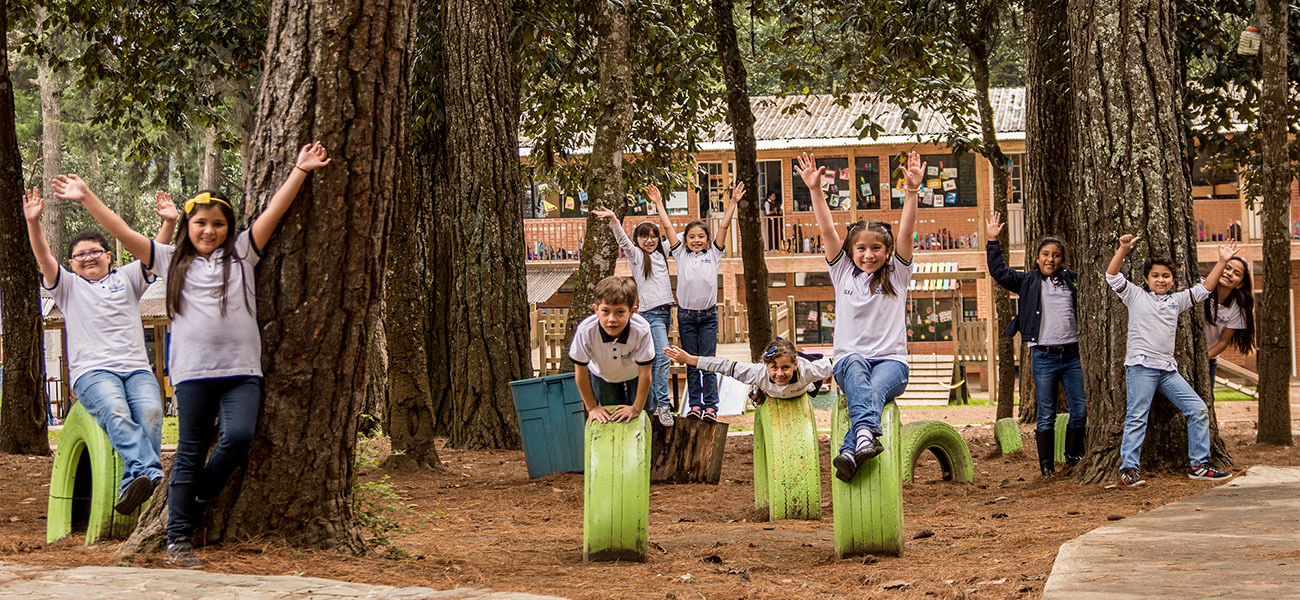 Alumnos caminando entre los pinos del campus