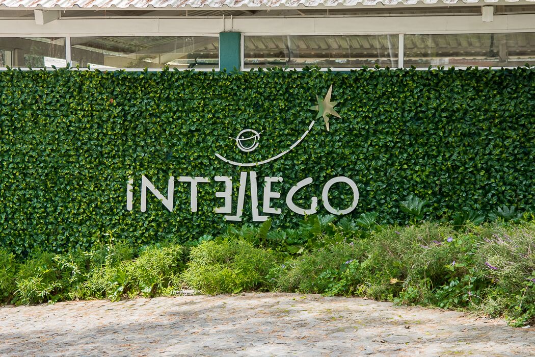 Muro verde con el logo de Intellego en la entrada